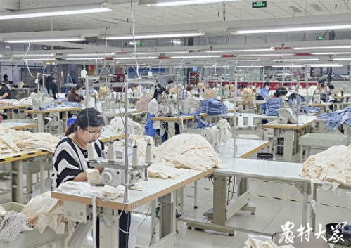 彈性上班，村莊共創 200余位媽媽攜手合建服裝廠開啟服飾零售新篇章